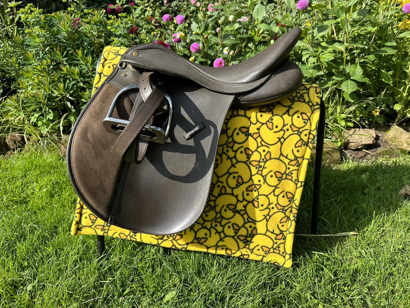 Saddle Pads - Patterns