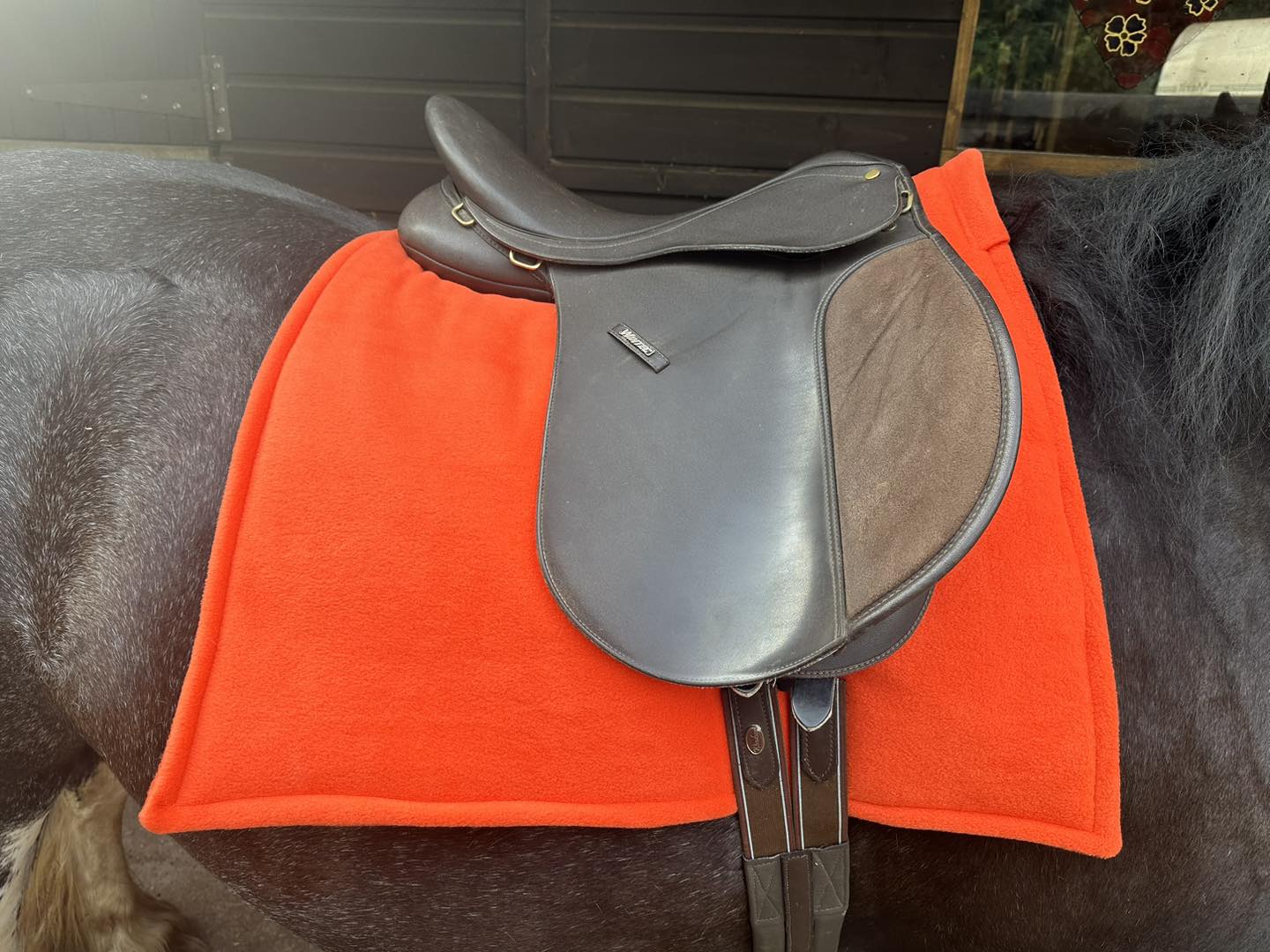 Saddle Pads - Plain Colours
