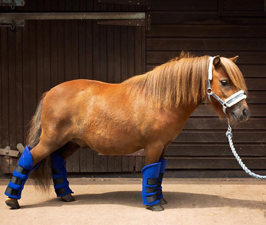 Large Pony Fleece Travel Boots Royal Blue