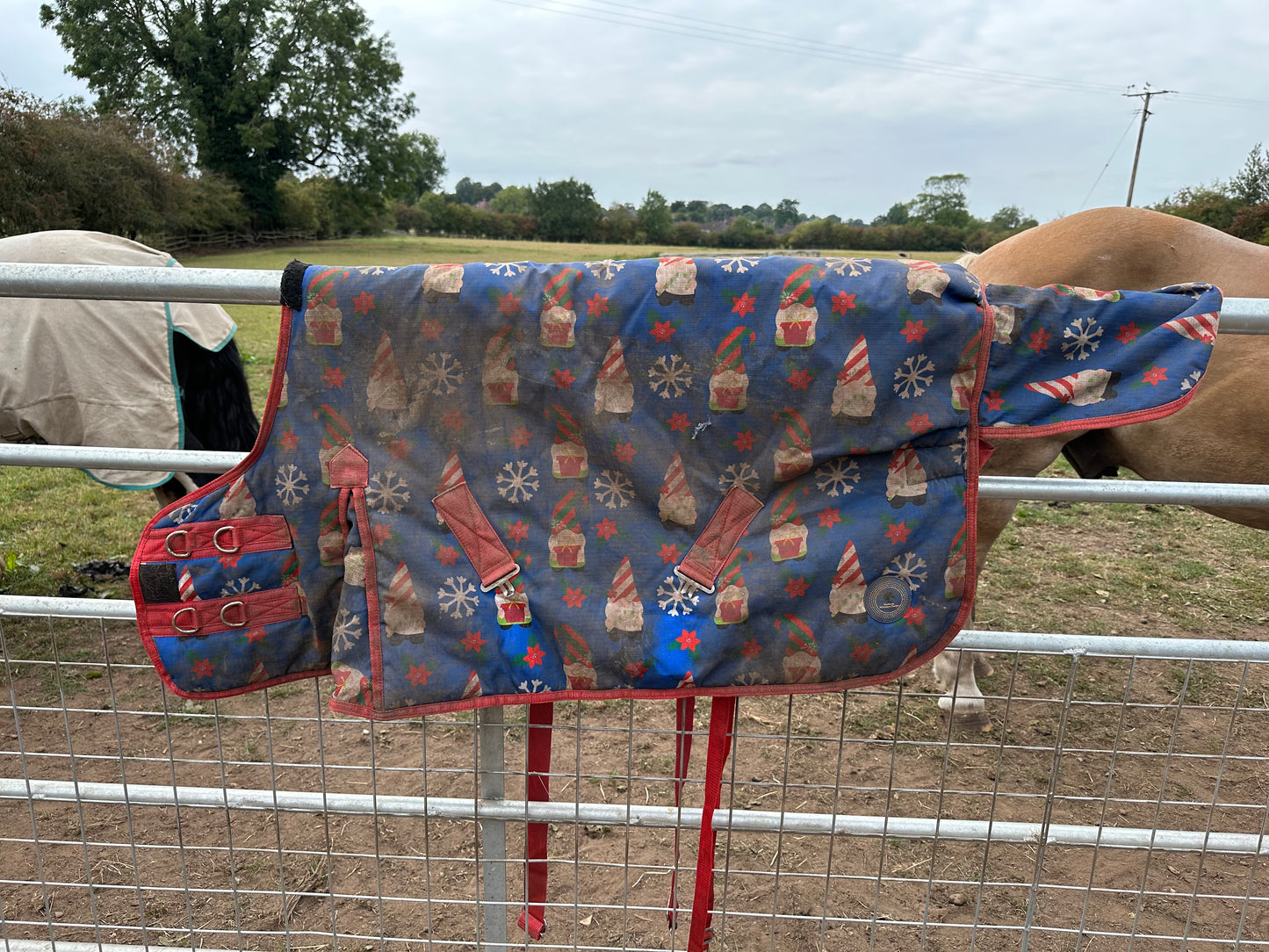 3’9 275gram Christmas Gonk Turnout Rug