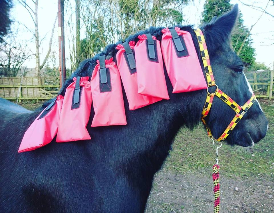 Mane Bags - Set of 6