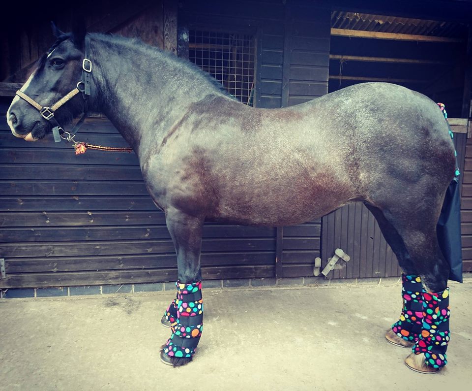 Fleece Leg Wraps, Tail Guard & Detachable Bag Set - Plain Colours