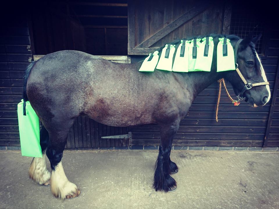 Mane & Tail Bag Set