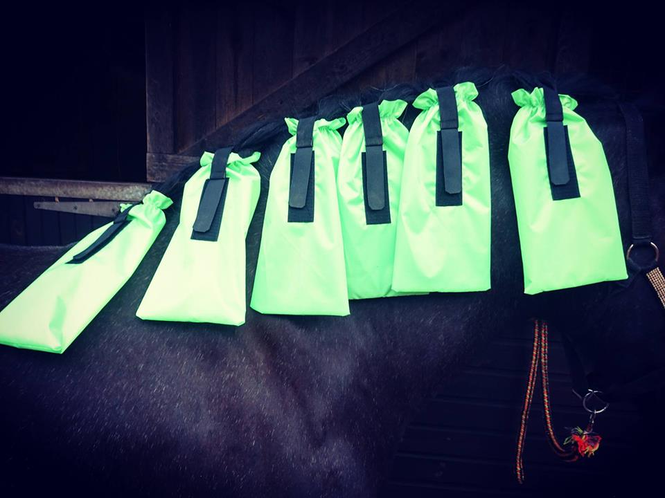 Mane Bags - Set of 6