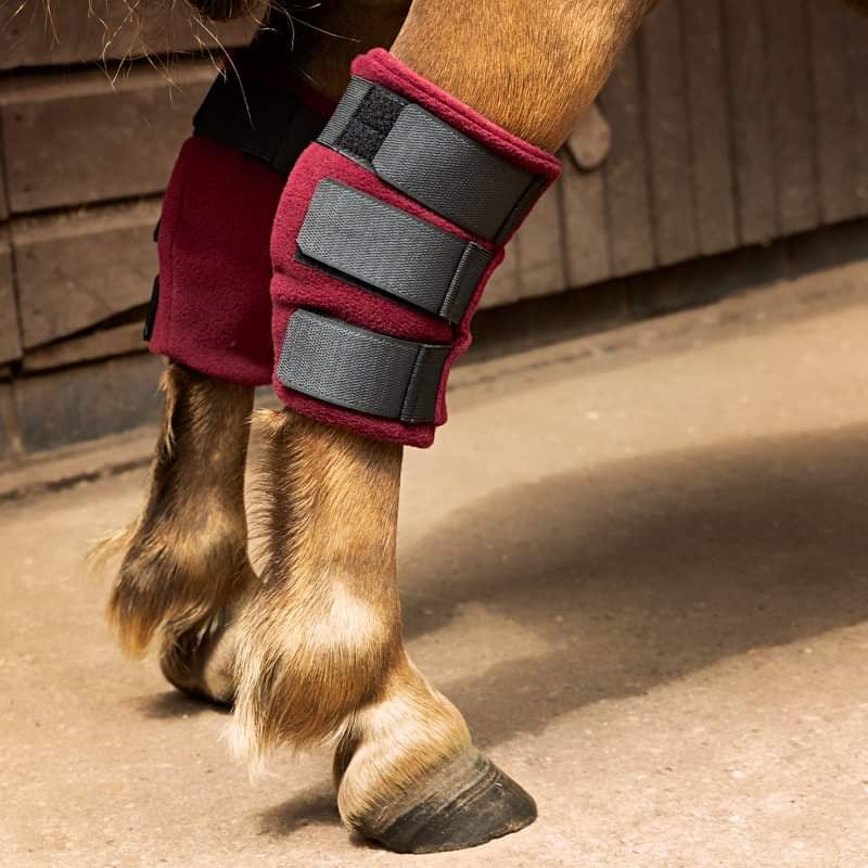 Fleece Hock Boots - Plain Colours