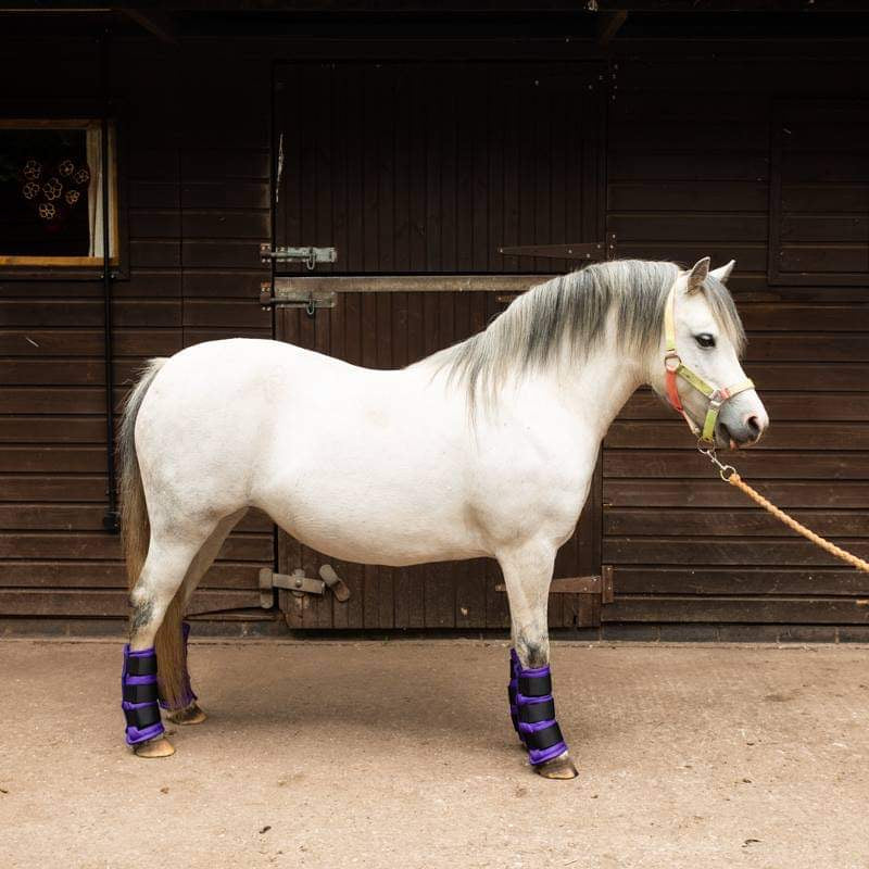 Waterproof Leg Wraps / Stable Wraps