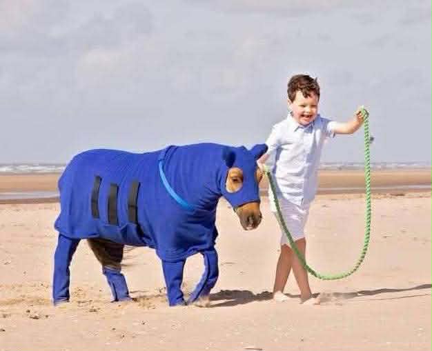 Fleece Horse Onesie 5'6 - 7'0 - Plain Colours