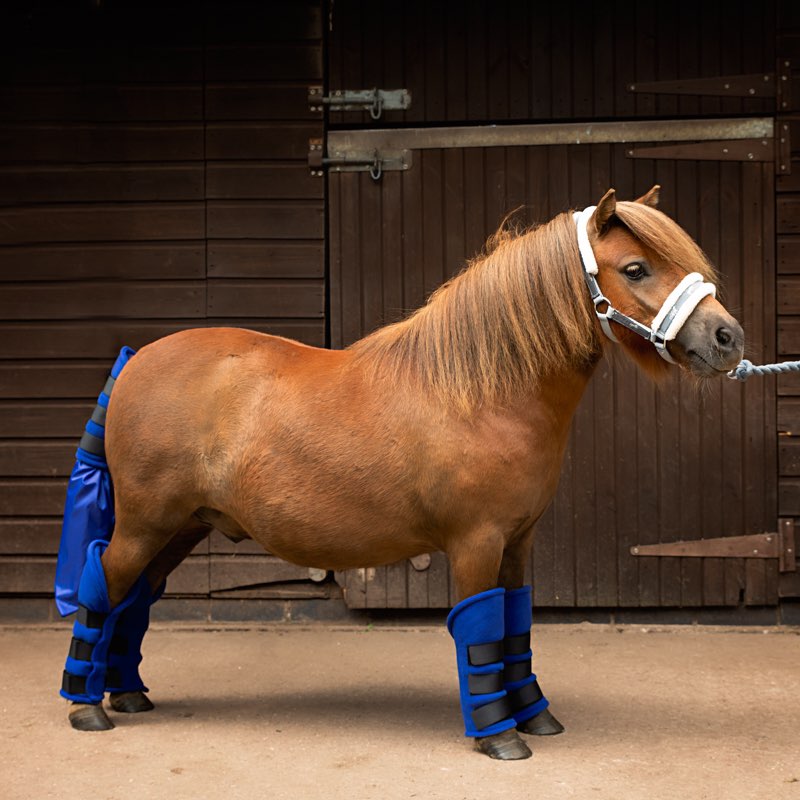 Fleece Travel Boots & Tail Guard / Bag