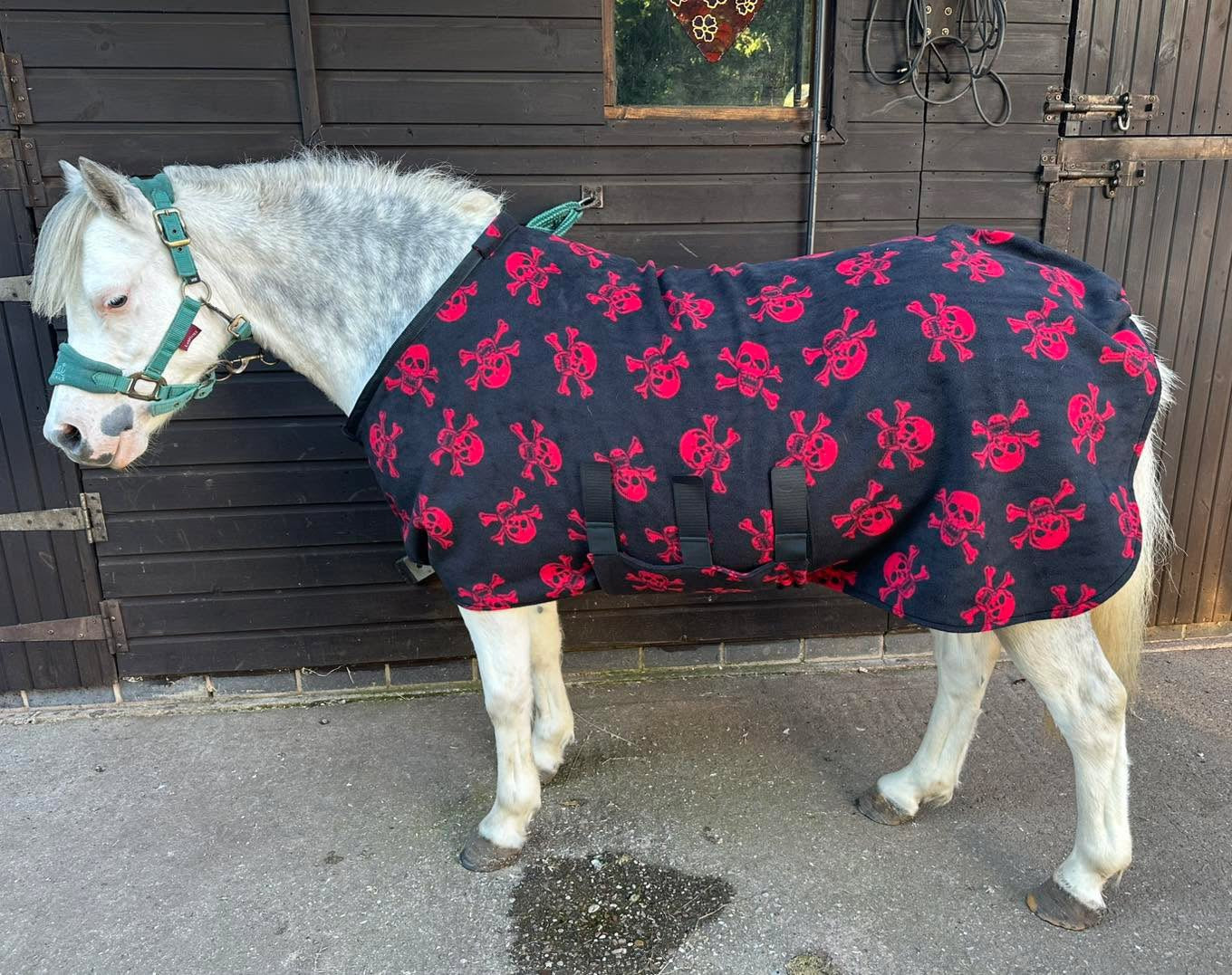 3’9 Skulls Fleece Body