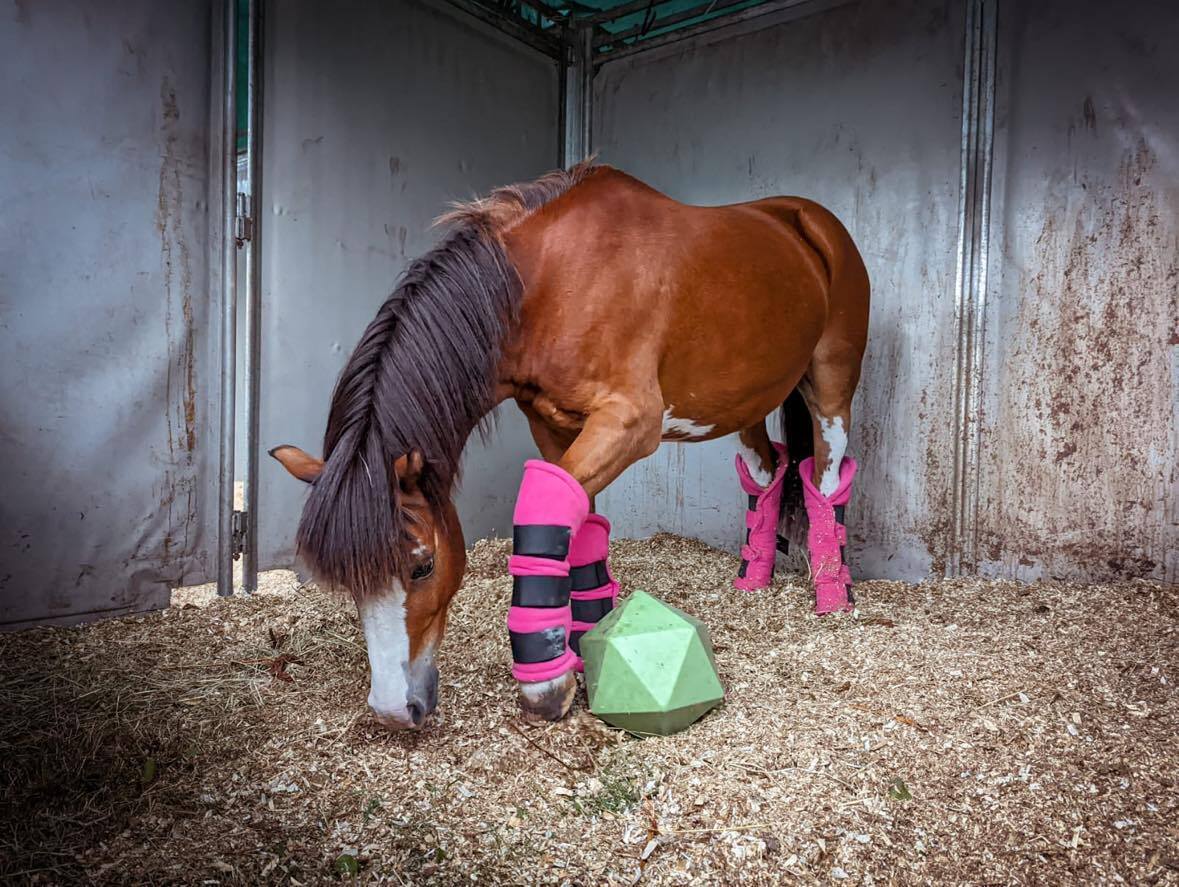 Fleece hotsell horse boots